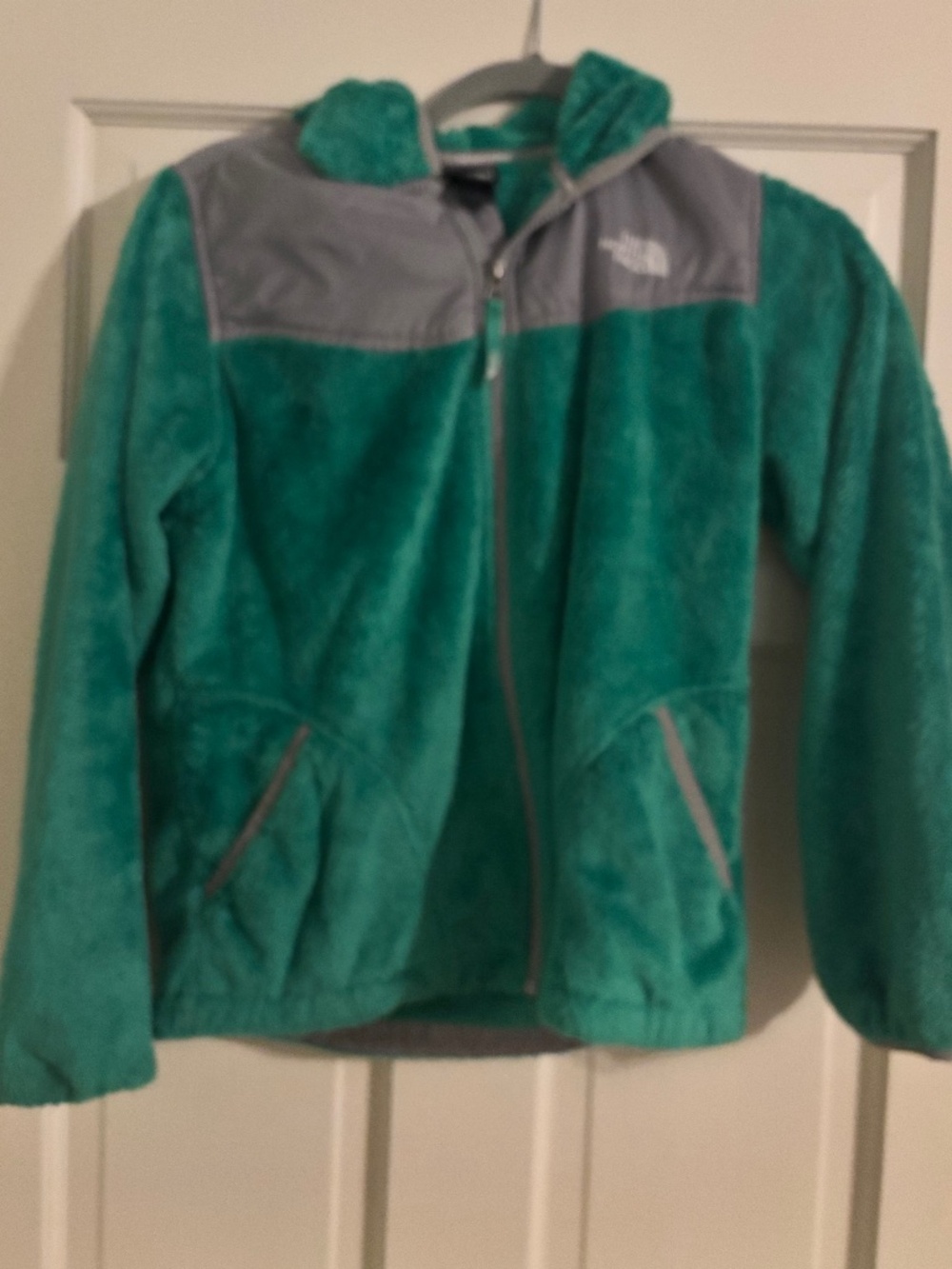 The North Face Girls Fleece Jacket Green Size Girls Large 14/16